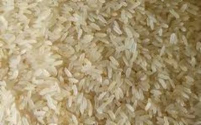 IR 64 Parboiled – non-basmati rice grain sample