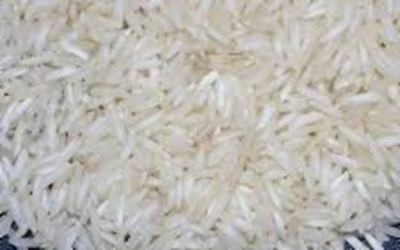 PR 11/14 Steam – non-basmati rice grain sample