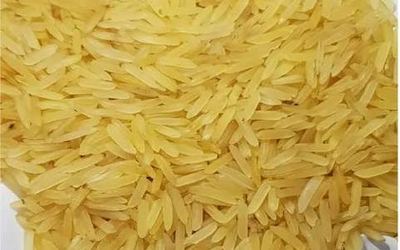 Sharbati Golden – non-basmati rice grain sample